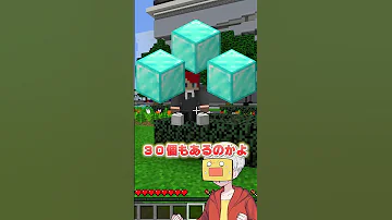 嘘がつけない世界でしいちゃんねるに色々質問した結果 まいくら マインクラフト 