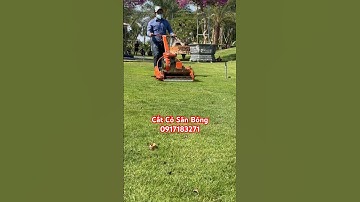 Cắt Cỏ Sân Bóng | Cắt Cỏ Nhung Nhật | Máy Cắt Cỏ | Cắt Green | Bảo Dưỡng Sân Bóng #0917183271