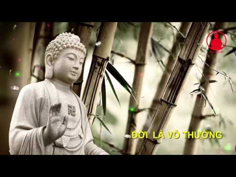 Đời Là Vô Thường (tuyệt hay) - Thuyết Pháp Hay