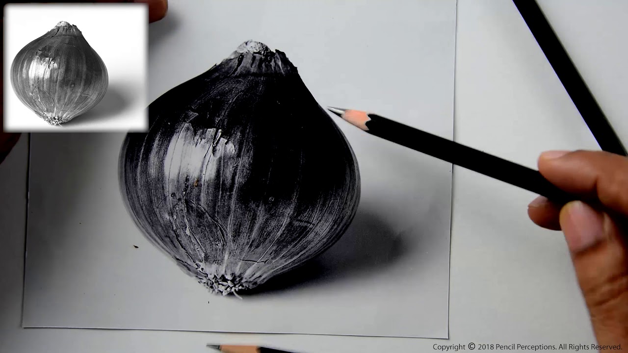 Learn to Draw Pencil Sketch in 8 Simple Steps - Pencil Perceptions