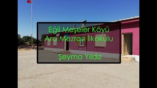 Eğil Meşeler Köyü Ara Mezrası Öğrencileri Değerlendirmesi Şeyma Yildiz