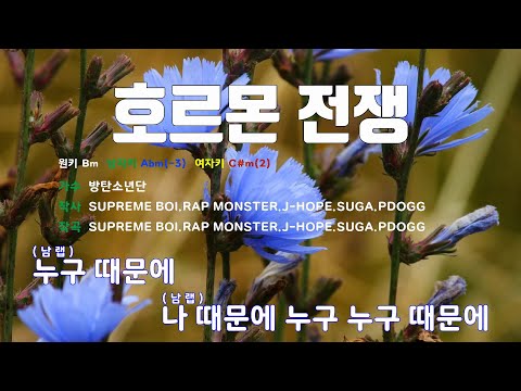 [은성 반주기] 호르몬전쟁 - 방탄소년단