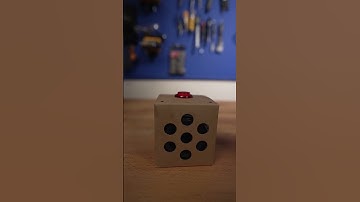 Raspberry Pi AI - Crazy Response @raspberrypi #raspberrypi  #funny #funnyvideo #mrbeast  @MarkRober