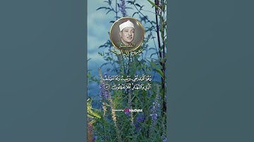 🧡 وَهُوَ الَّذِي يُحْيِي وَيُمِيتُ وَلَهُ اخْتِلَافُ اللَّيْلِ وَالنَّهَارِ .. تلاوة خاشعة