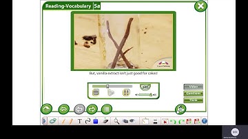 Excel 6 M 5 ex  1 p  54 Home remedies Video