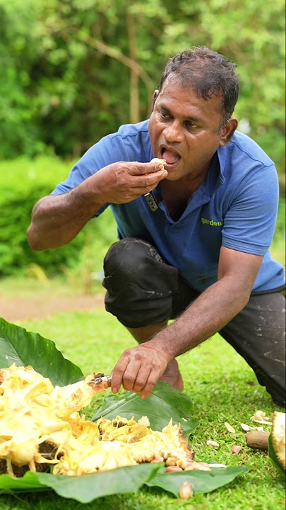 nangka  / Palā paḻam  / Jack fruit