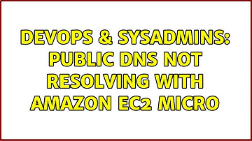 DevOps & SysAdmins: Public DNS not resolving with Amazon EC2 Micro