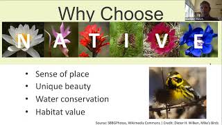 Water Wise Native Plants Webinar by SaveWaterSB 494 views 3 years ago 1 hour, 6 minutes