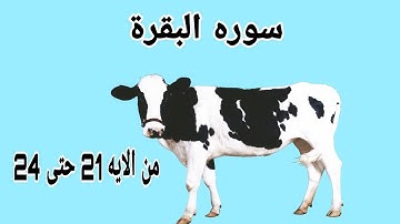 سوره البقرة | مصغرة | من الايه 21 حتى 24