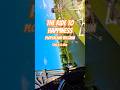 Ride To Happiness - Plopsaland Belgium | Mack Rides Xtreme Spinning Coaster #tomorrowland #onride