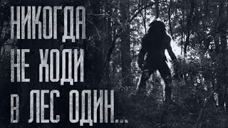 видео: НЕ ХОДИ В ЛЕС...ТАМ HEЧИСТЬ БРОДИТ... Страшные истории от Гробовщика. Истории на ночь. Хоррор. Ужасы картинка: НЕ ХОДИ В ЛЕС...ТАМ HEЧИСТЬ БРОДИТ... Страшные истории от Гробовщика. Истории на ночь. Хоррор. Ужасы