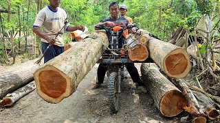 : the extraordinary skills of the wooden crossbar motorcycle taxi, carrying large and long teak wood