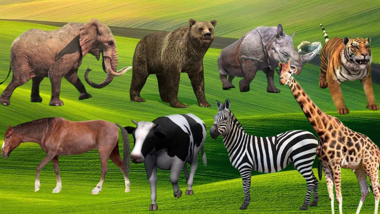 Cute little animals Elephant, Bear, Rhinoceros, Tiger, Horse, Cow