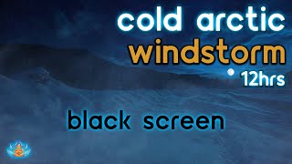 [Black Screen] Cold Arctic Windstorm | Deep Howling Wind | Wind Sounds for Sleeping