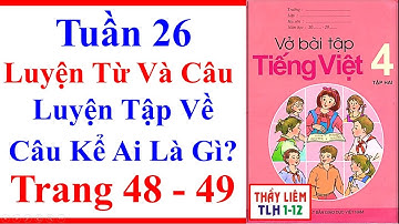 Vở Bài Tập Tiếng Việt Lớp 4 | Tuần 26 | Luyện Từ Và Câu | Luyện Tập Về Câu Kể Ai Là Gì | Trang 48 49