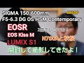 SIGMA 150-600mm F5-6.3 DG OS HSM Contemporary 開封レビュー！EOS R とLUMIX とS1 EOS Kiss M の三台で使ってみた！