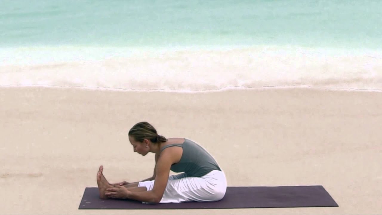 Seated Forward Bend | Grace Van Berkum