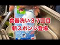 食器洗い37回目　新しいスポンジ「スコッチブライト」買いました。