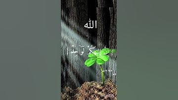 #تلاوة_خاشعة #القرآن_الكريم #تابعنا_فضلاً_وليس_أمرًا #اكسبلور