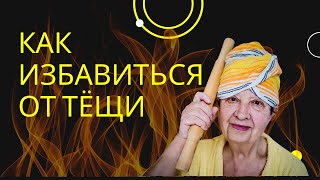 Ваша тёща, тесть, свёкр или свекровь вас очень раздражают #ЗлаяТёща #ПлохаяСвекровь