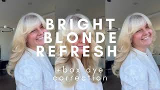 Full Head Foil Placement | Blonde Refresh &amp; Color Correction