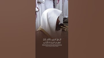 تلاوة الشيخ عبدالله القرافي من المسجد النبوي #المسجد_النبوي #المسجد_الحرام #عبدالله_القرافي
