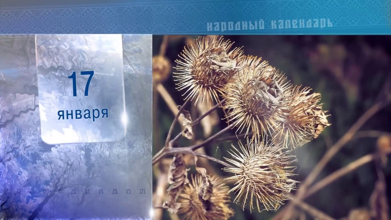 17 Января - Ежедневный Народный Календарь - YouTube