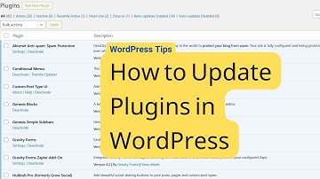 How to Update Plugins on a WordPress Website: Tutorial