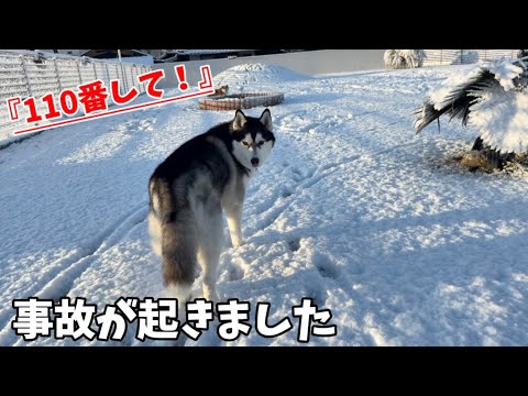 もちごめ兄弟ちゃんねる - YouTube