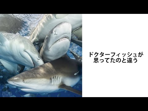 【神回】天才的なボケてにツッコミ入れてみた。【#16】