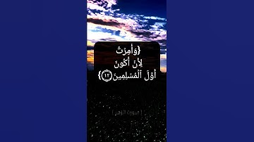 سورة الزمر الآية ١٠ الى ١٤ بصوت الشيخ محمد صديق المنشاوي