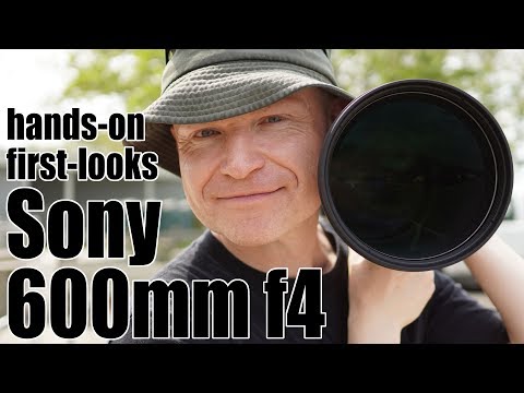 Sony FE 600mm f4 review: HANDS-ON with $13K super-tele!