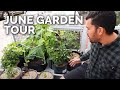 Full June Garden Tour 2020!