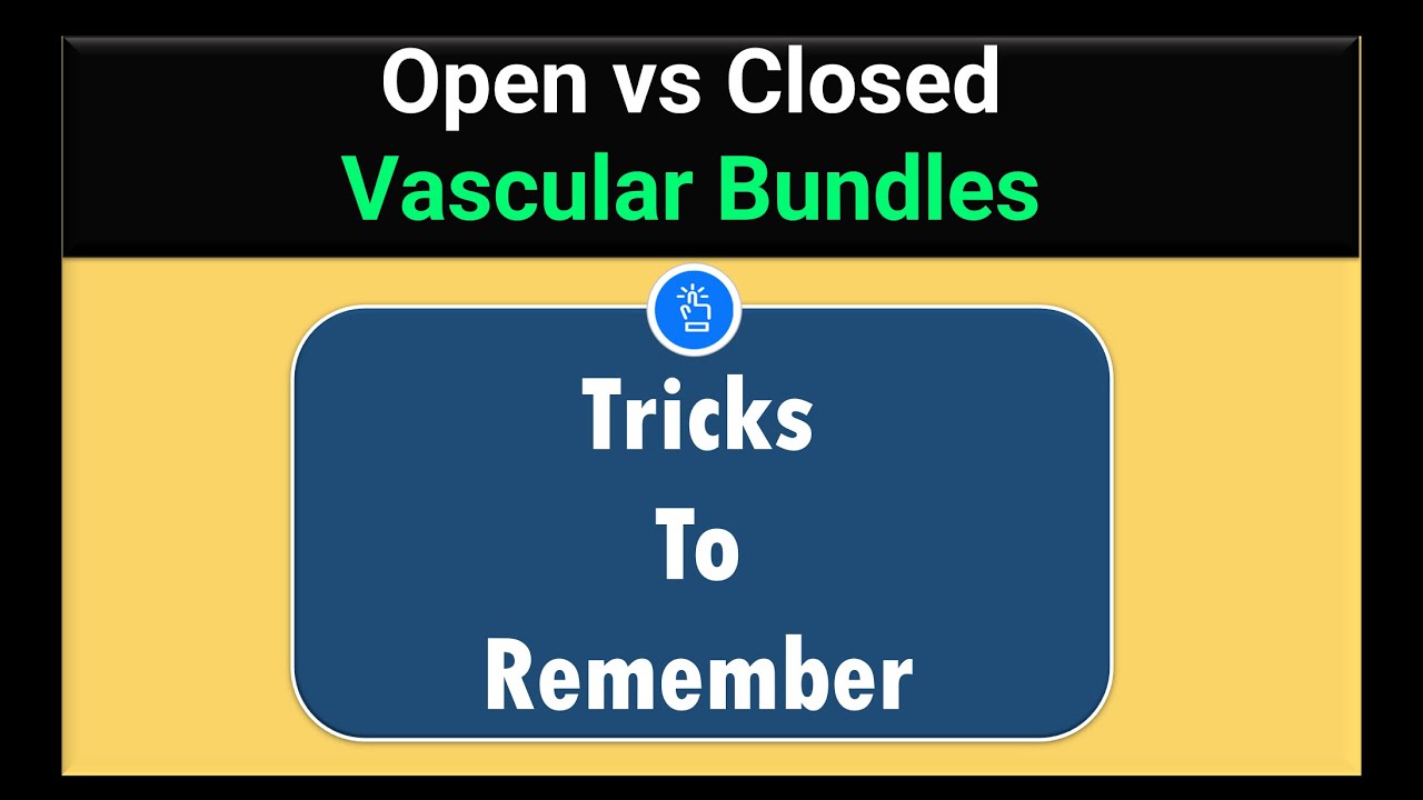 Open and Closed Vascular Bundles | Tricks to Remember | #neet - YouTube
