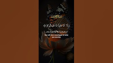 سورة الكافرون #اكسبلور #المصحف #راحة_نفسية #تيك_توك #حالات_واتس