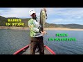 El Bass en Otoño (Pesca en Superficie)