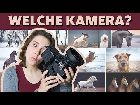 Welche Kamera In 18 Dslr Bodys Fur Die Tier Und Pferdefotografie Q A Mit Wiebke Youtube