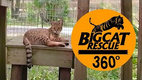 Watch the video about 360 VR Diablo Hybrid SlowMo