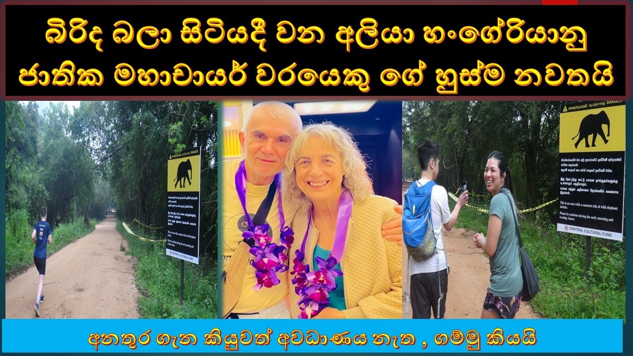 wala ali paharadima sigiriya බිරිද බලා සිටියදී  අලියා හංගේරියානු ජාතික සංචාරකයා ගේ හුස්ම නවතයි