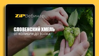 СЛОВЕНСКИЙ ХМЕЛЬ от Колибри до Волка