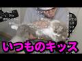 布団ちゃん、本日のテリー君まとめ 2026/05/16