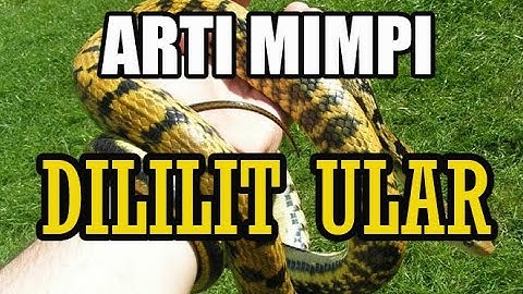 8 ARTI MIMPI DILILIT ULAR DAN PERTANDANYA DALAM KEHIDUPAN