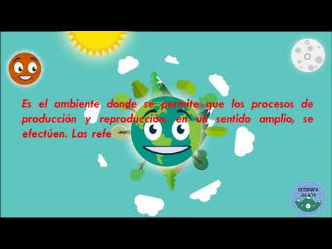 ¿Qué es la