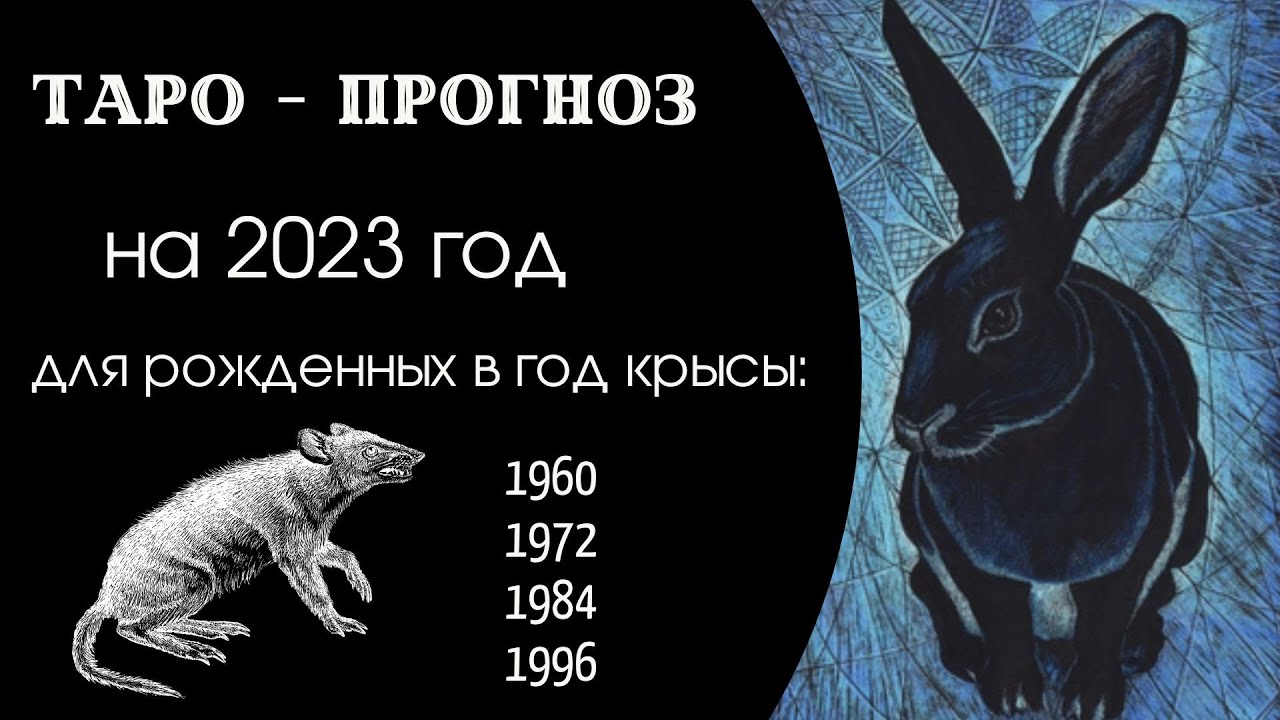 Финансовый Гороскоп Для Крысы На 2023