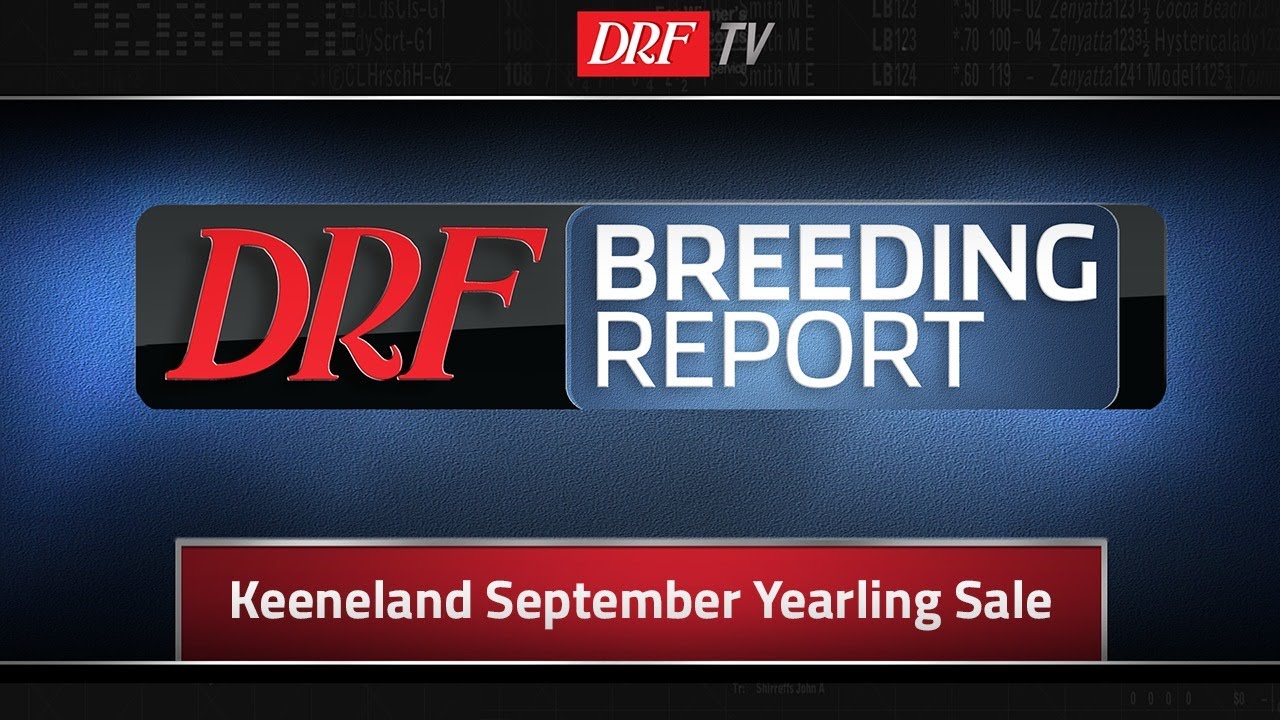 DRF Breeding Report - Keeneland September Sale 2018