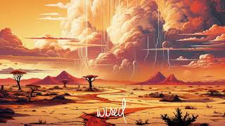 Afro Exotiq U0026 Nitefreak  Desert Storm original Mix wired