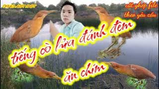 Tiếng cò lửa đánh đêm 68