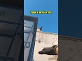 Niko Cross Smoke On Dust 2 #shorts #cs2
