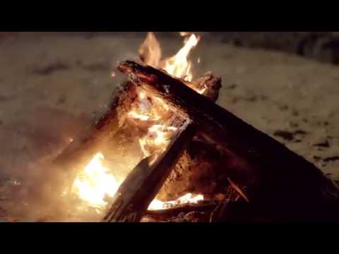 سمعني نبضك سلمى رشيد