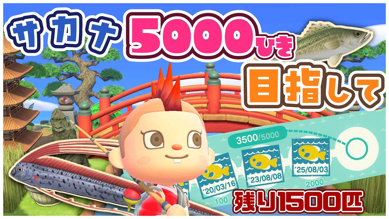 【あつ森】100匹連続釣り上げろ!5000匹を目指してひたすら釣りまくるっ🎣The雑談【あつまれどうぶつの森】
